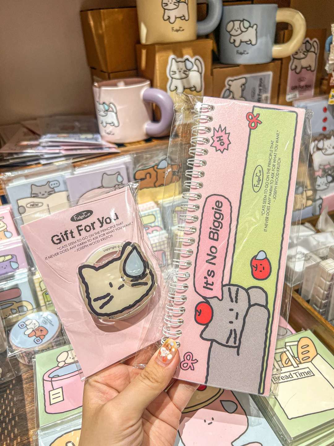 南宁10月限定可爱展！！来了都变成小猫！！！