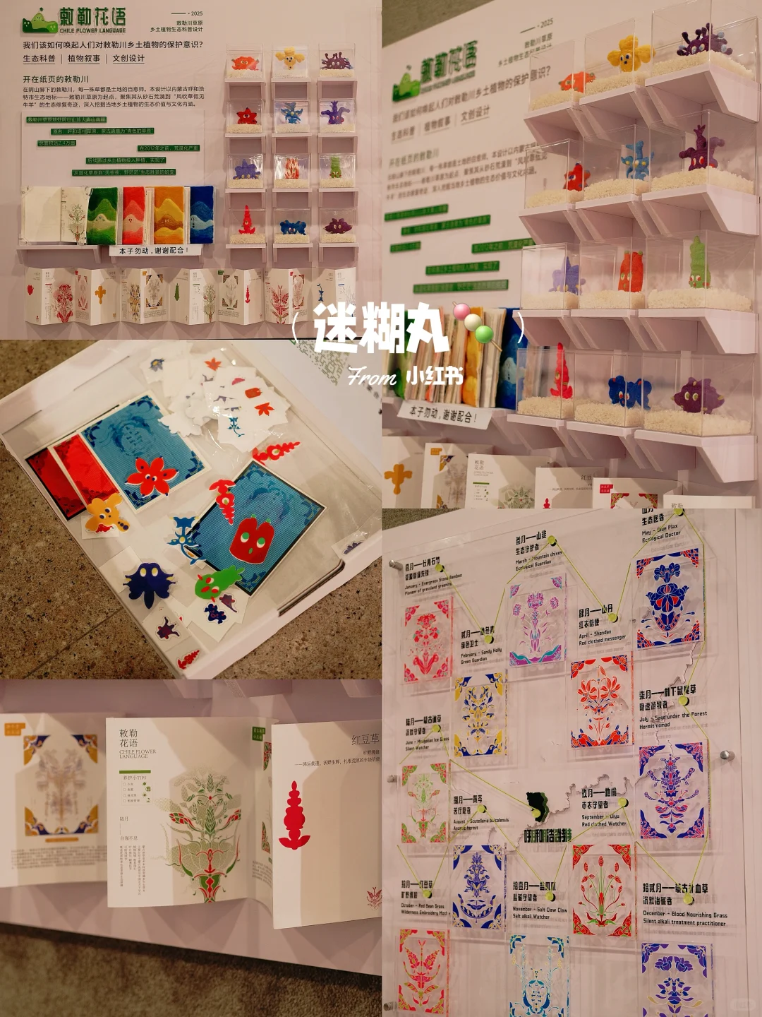 呼和浩特新展｜在内师大，邂逅艺术与创造?