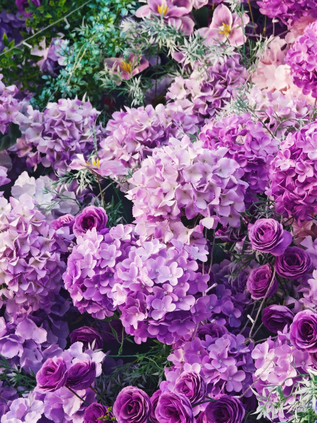 银川花博园，你让我感到陌生