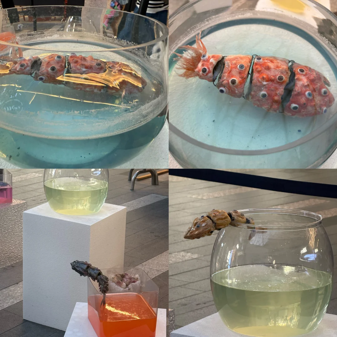 迟到的西美毕业展合集?