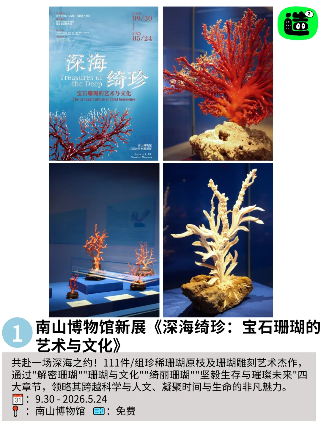 深圳周末好多免费的活动！不愧是深圳！好玩