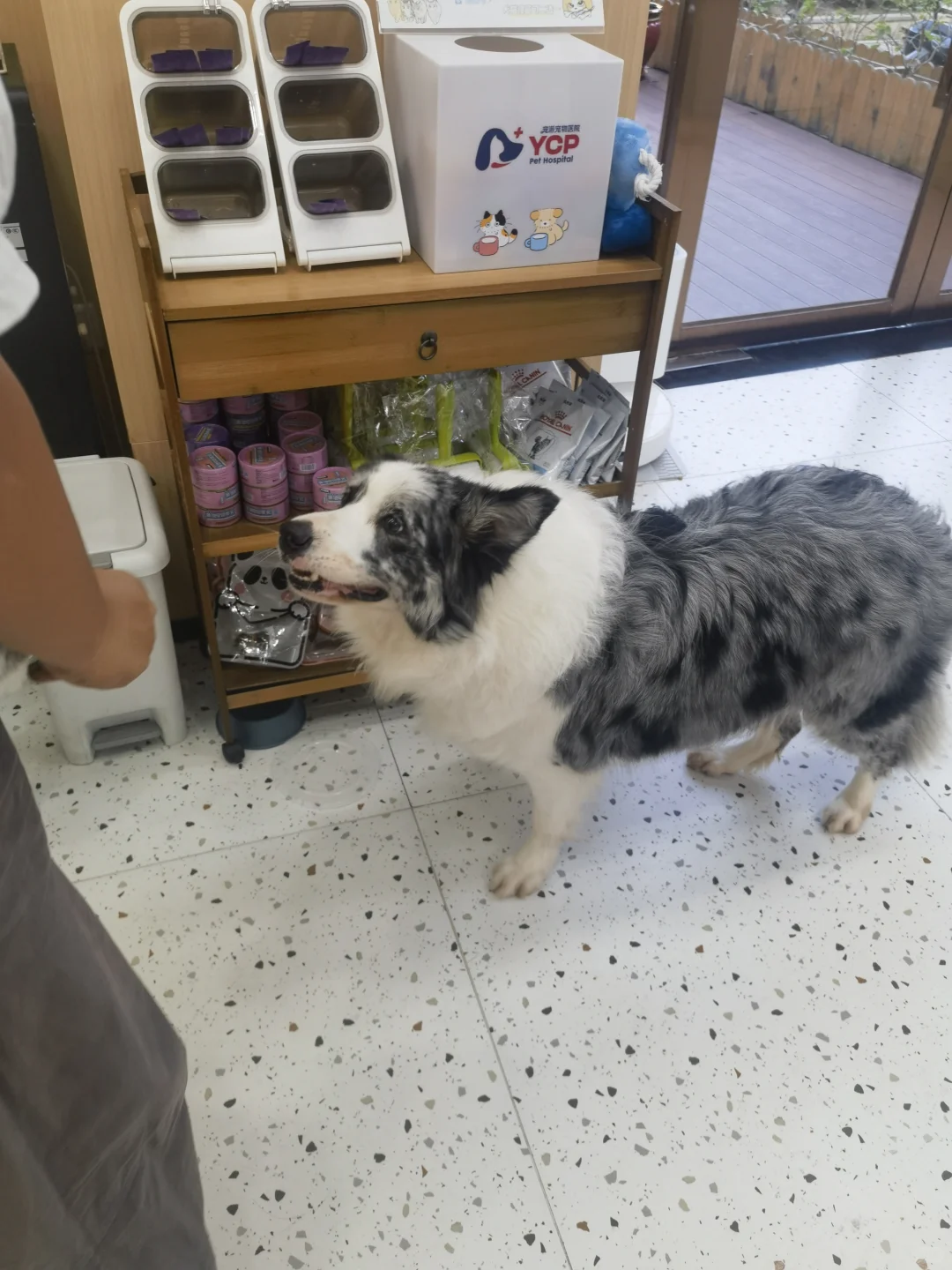 兼职展会
