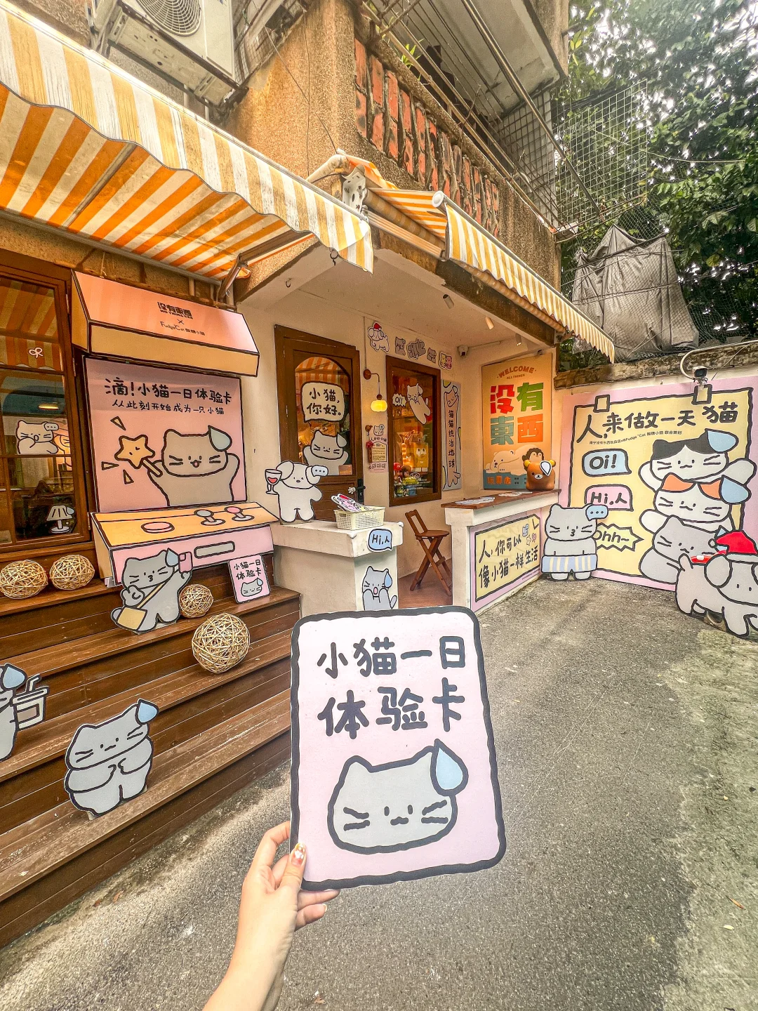 南宁10月限定可爱展！！来了都变成小猫！！！