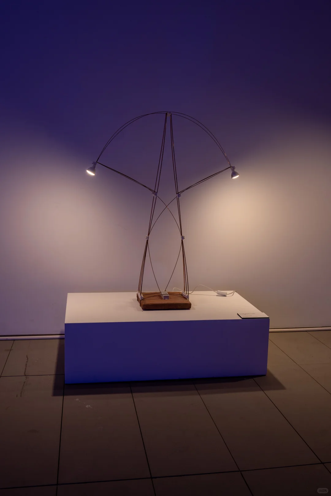 北京新展 | 是展览太美，还是观众太会拍？