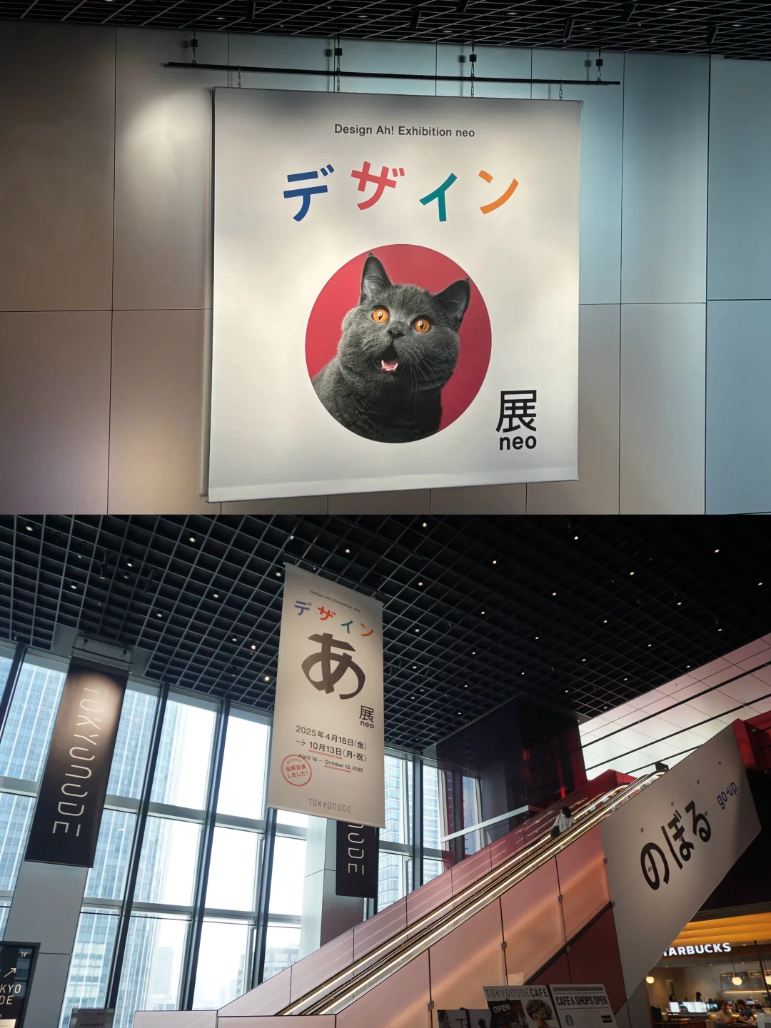 东京看展记02｜太好玩了，设计あ展！