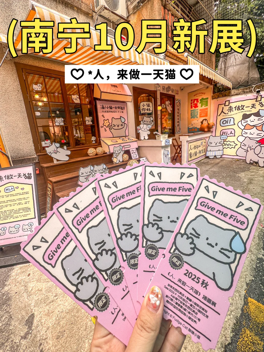 南宁10月限定可爱展！！来了都变成小猫！！！