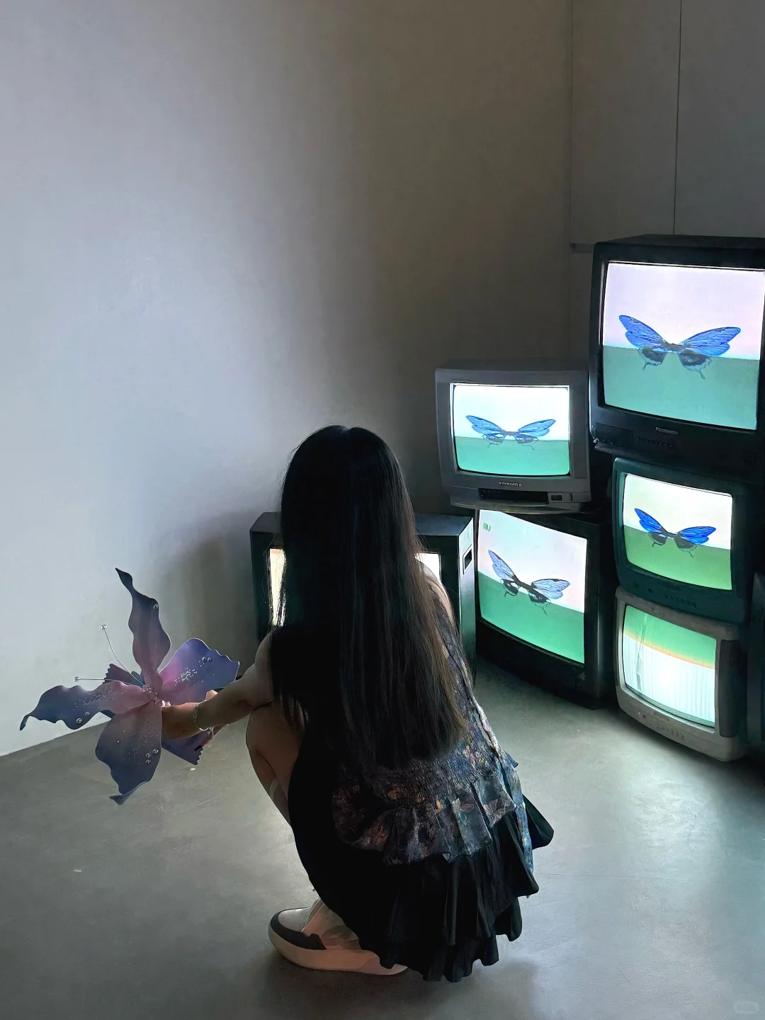 ?广州看展｜蝴蝶秘密协议?