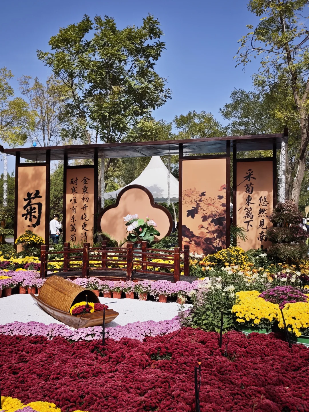 银川花博园，你让我感到陌生