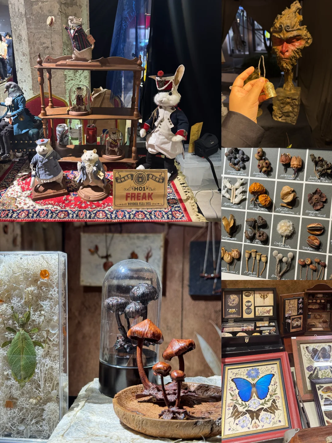 国庆魔都看展一日游！玩物丧志➡️早春乐事