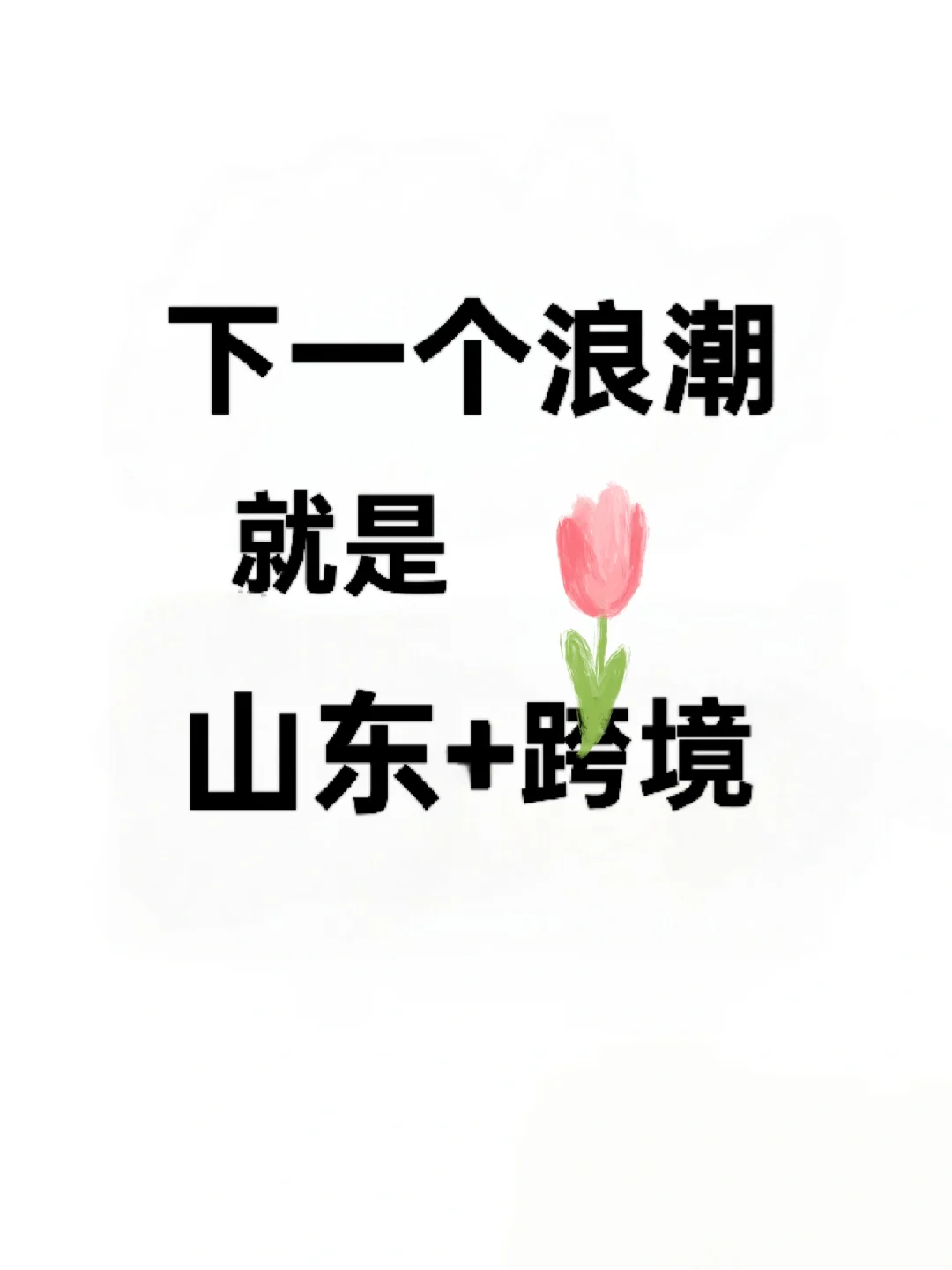 下一个浪潮就是山东➕跨境！