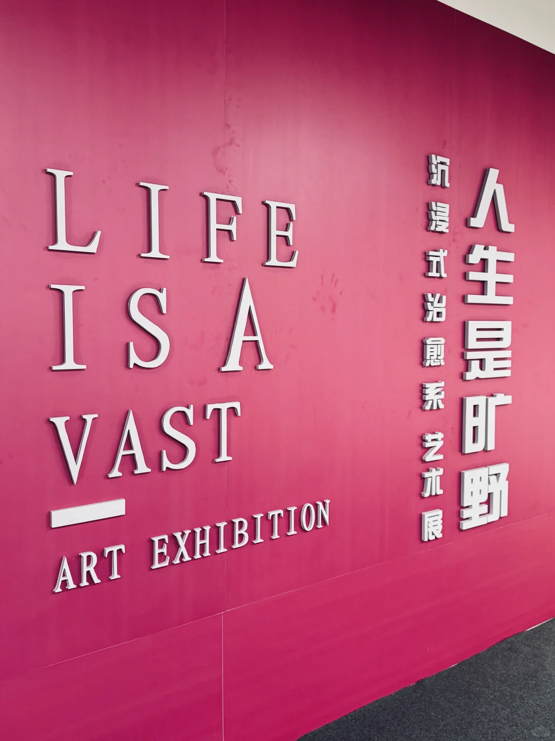 在邯郸！一家宝藏艺术展！185 女