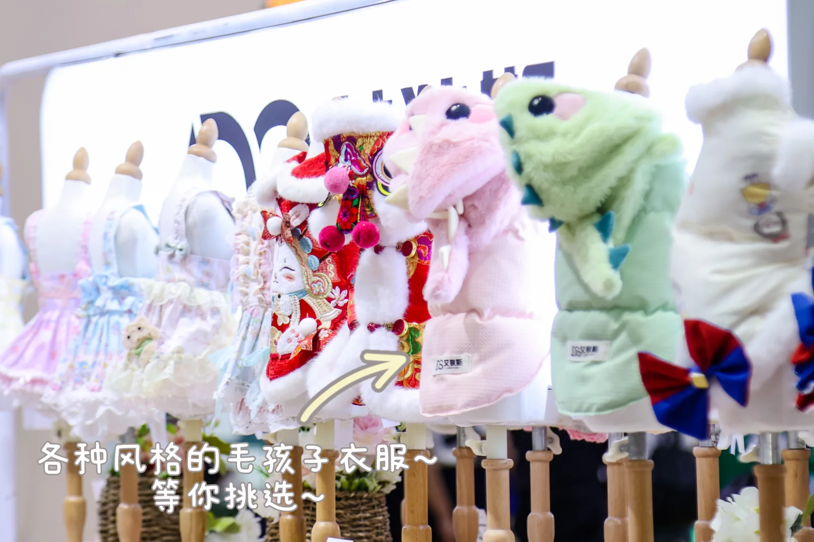 第6届华东宠物展：10月杭州宠粉来袭