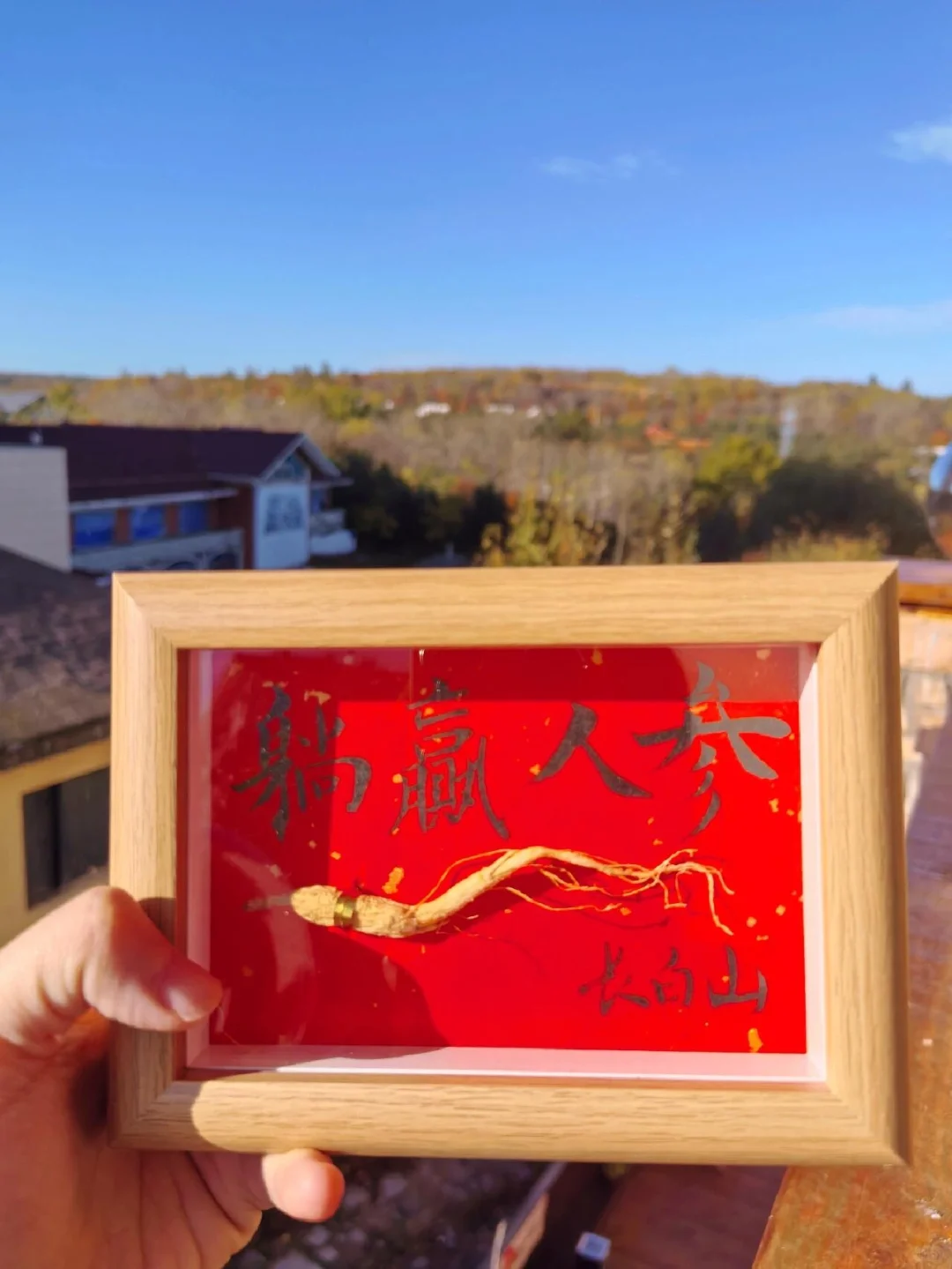 长白山魔鬼与天使之旅(攻略和避雷贴)