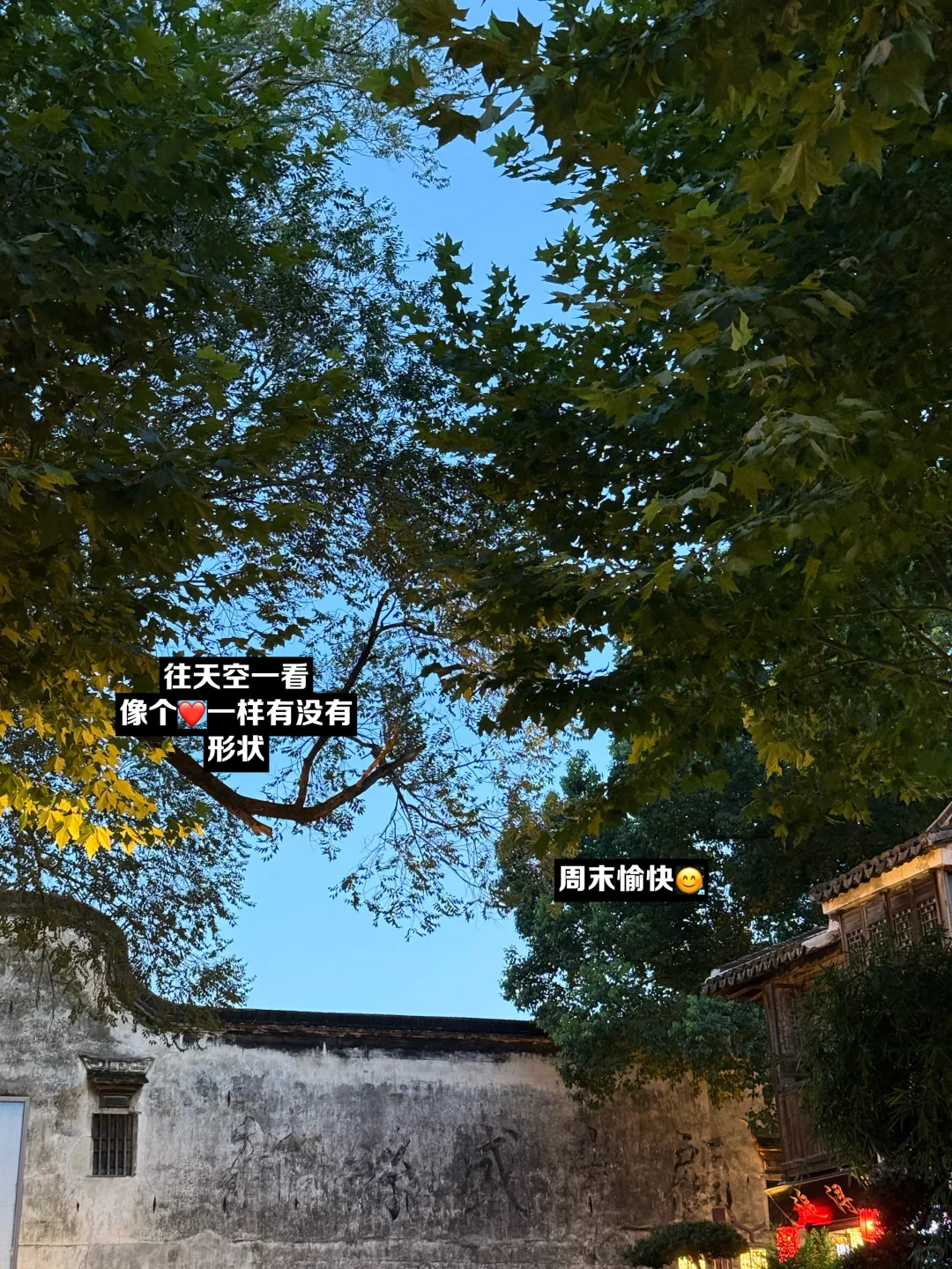 美团团购按摩|9️⃣9️⃣元按走一周疲惫