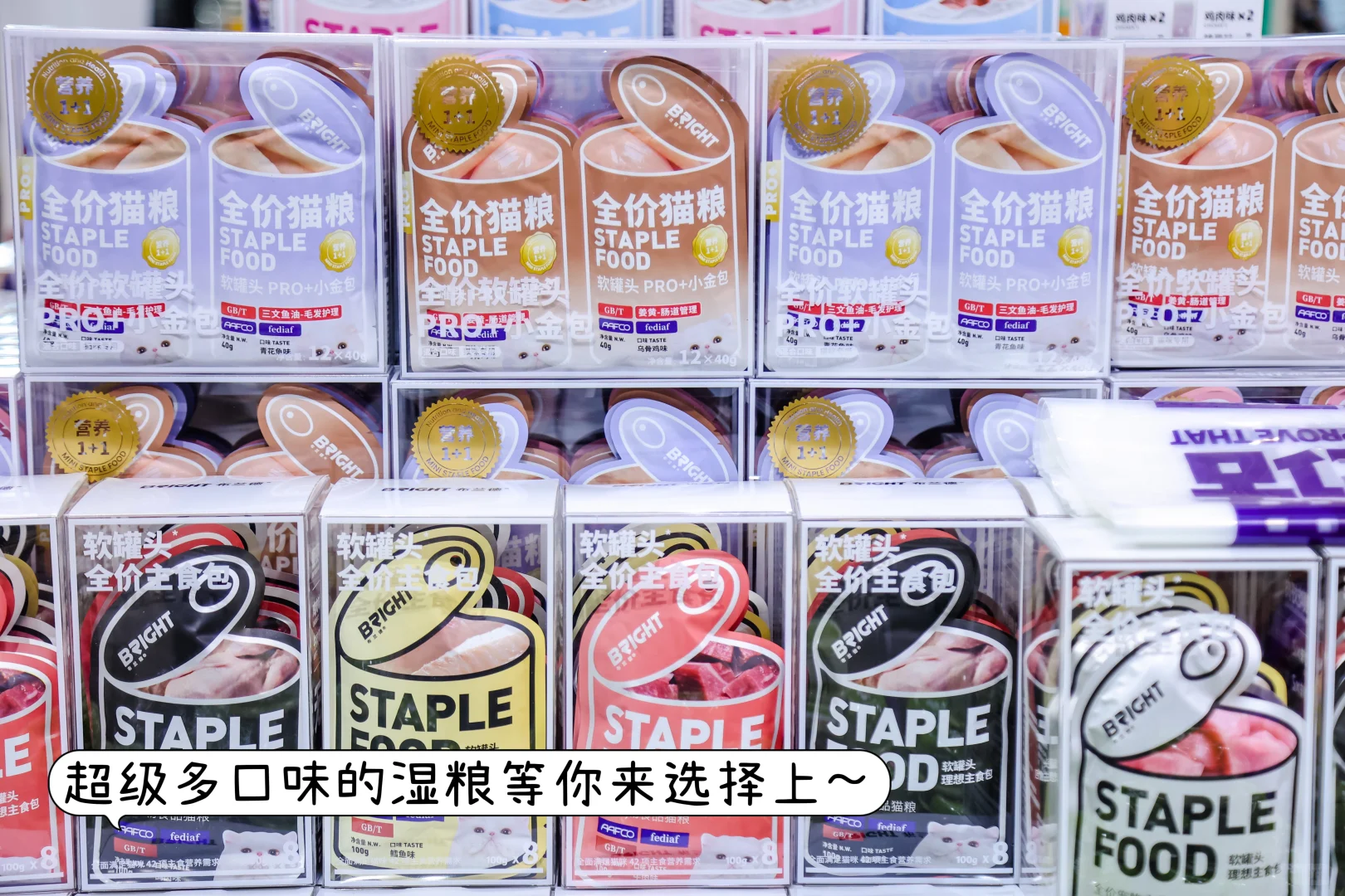 第6届华东宠物展：10月杭州宠粉来袭