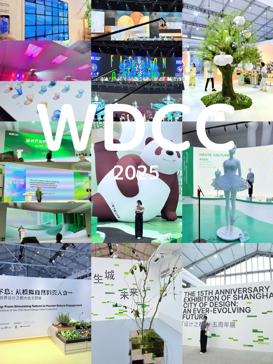 WDCC·2025? 铛铛铛～
