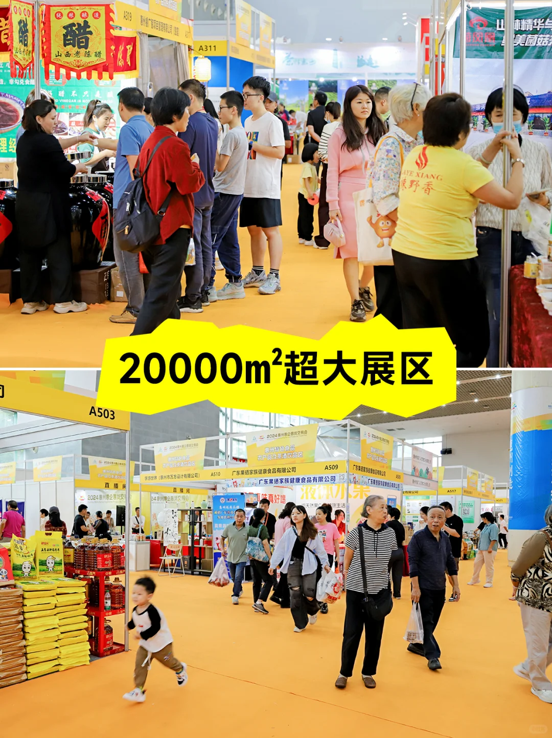 周末去哪儿!惠州这个宝藏展会好玩又好逛!