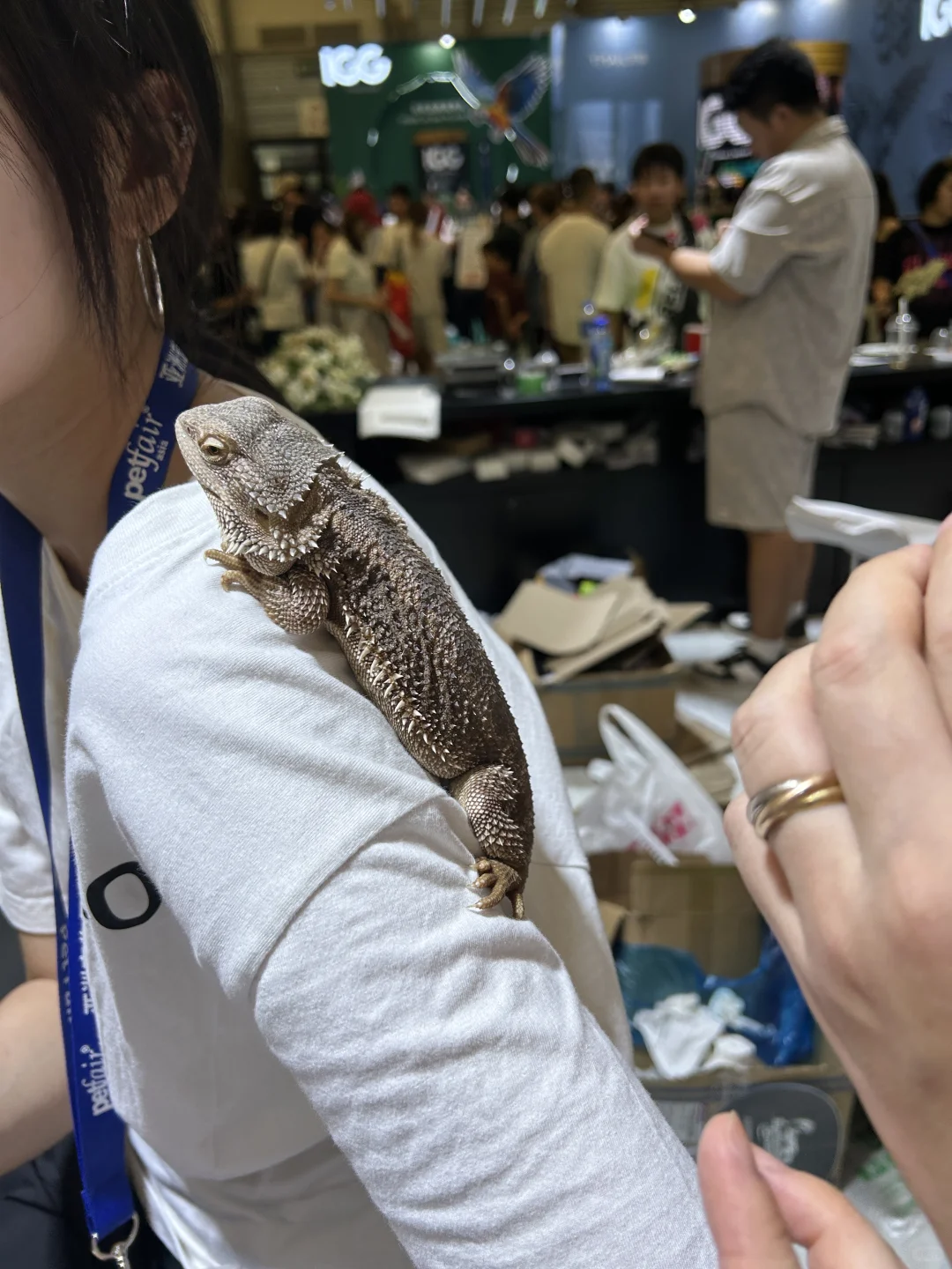 上海第27届亚洲宠物展