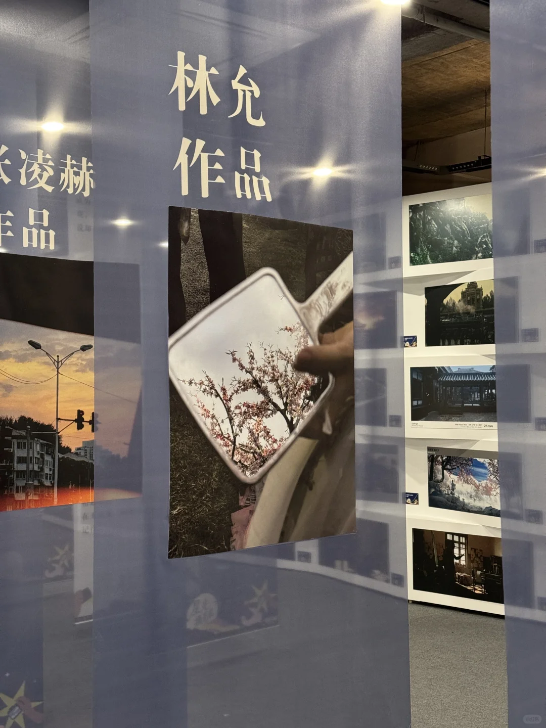 白鹿张云龙张凌赫的摄影作品正在横店展出~