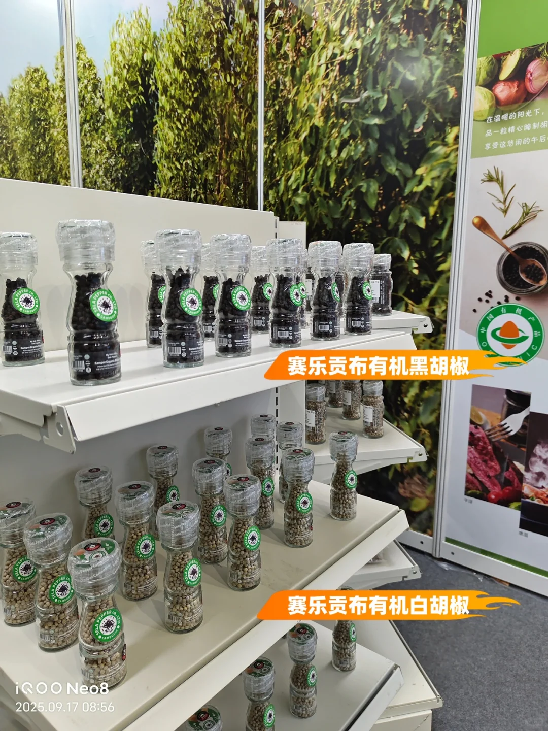 东盟博览会挖到宝！这罐胡椒的风味有亿点绝