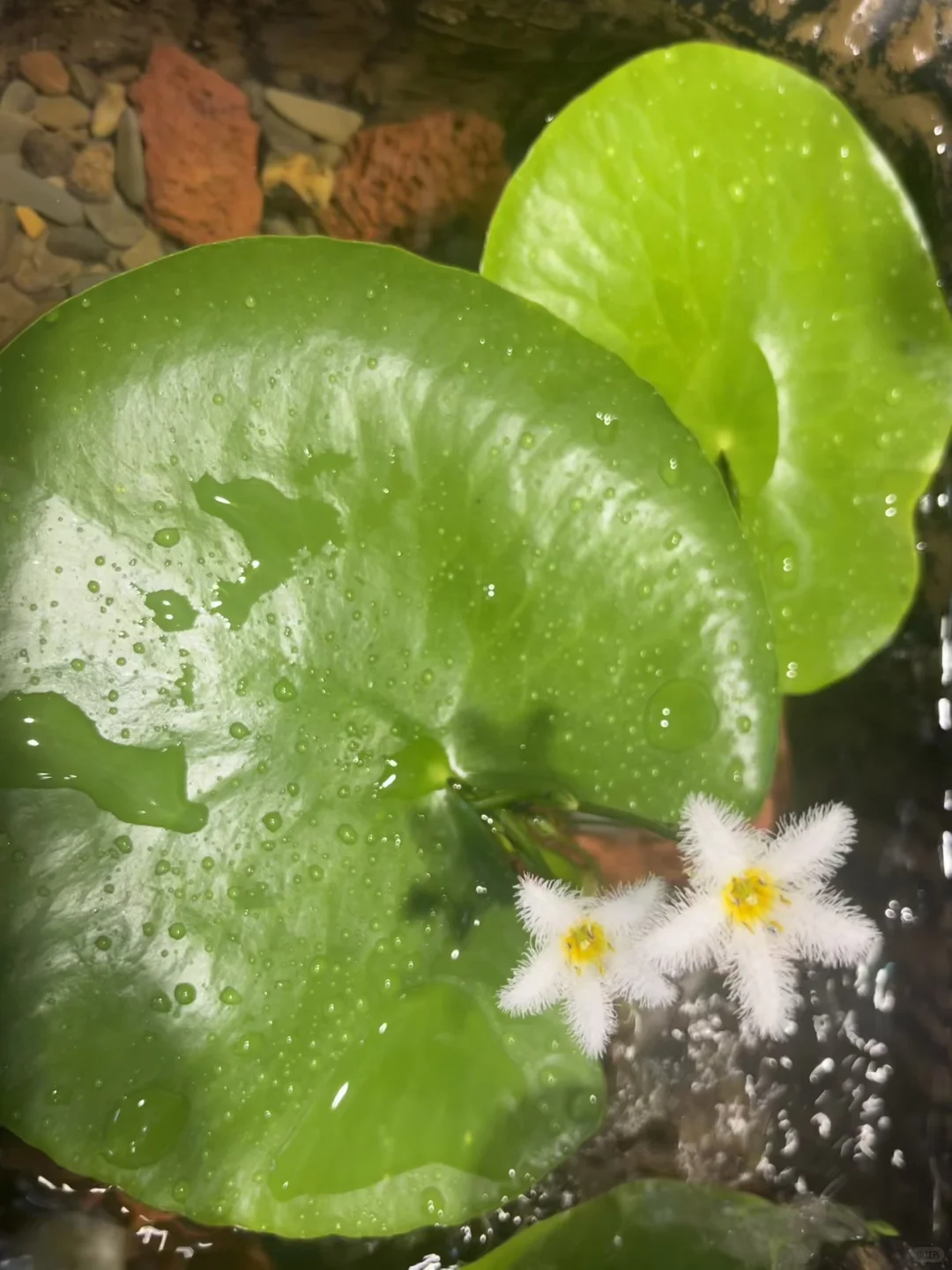如果在郑州失业了，不花钱可以去这些类地方