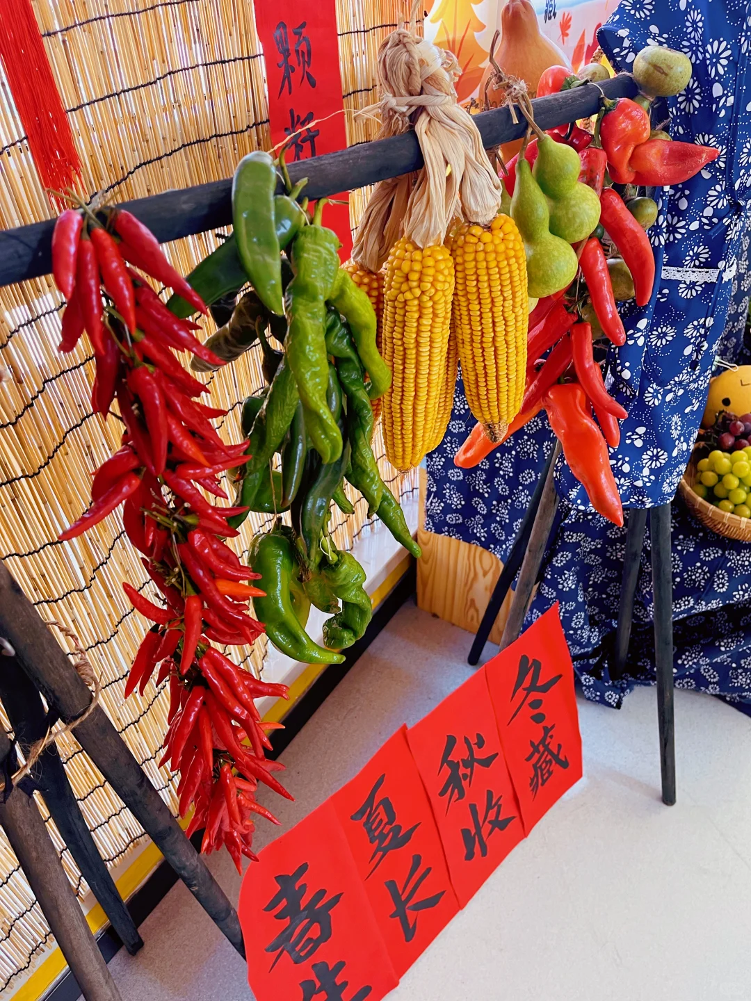 秋天，你好☀️