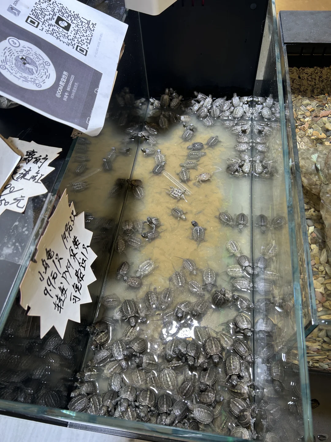 上海第27届亚洲宠物展