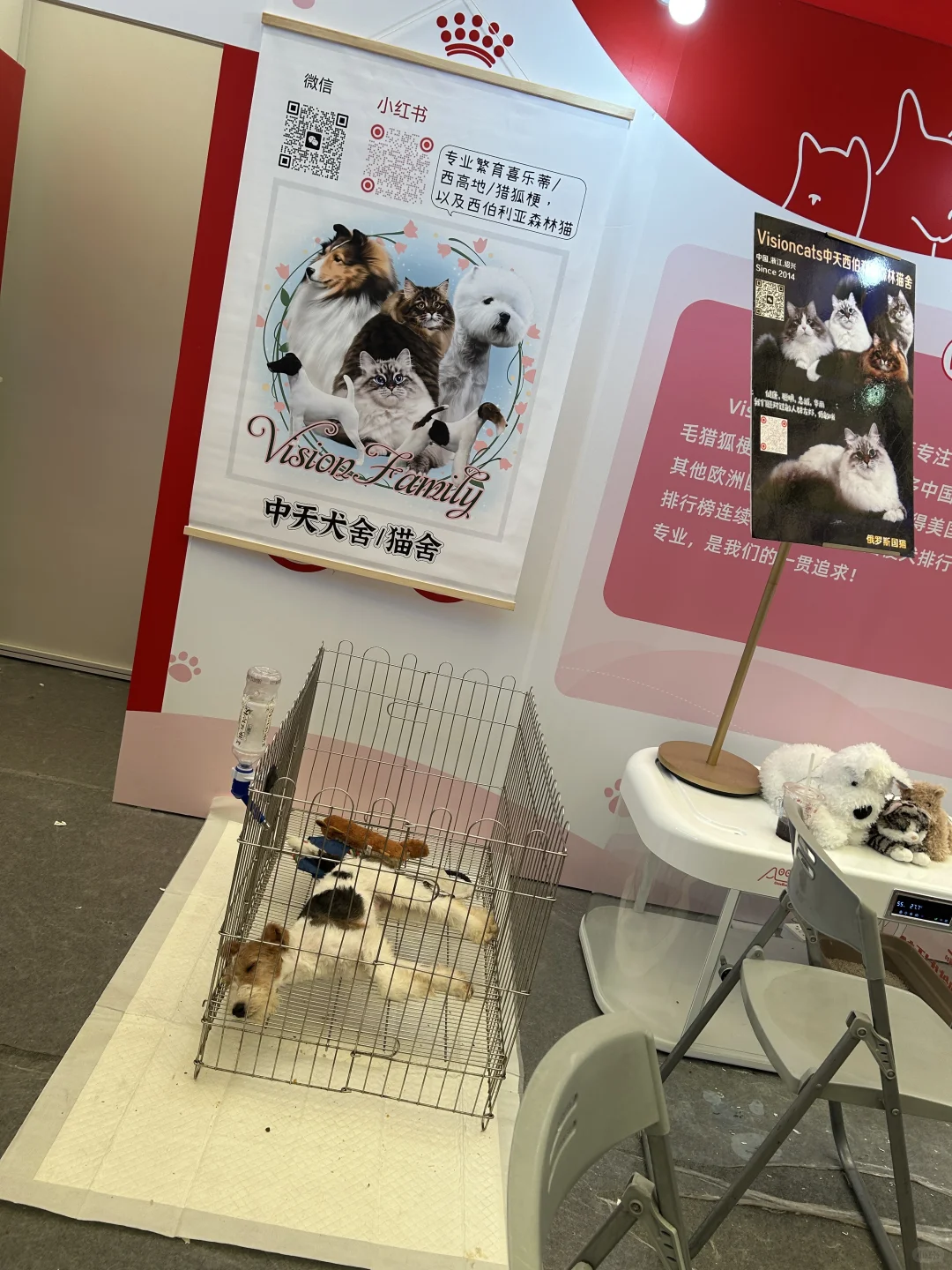 上海第27届亚洲宠物展