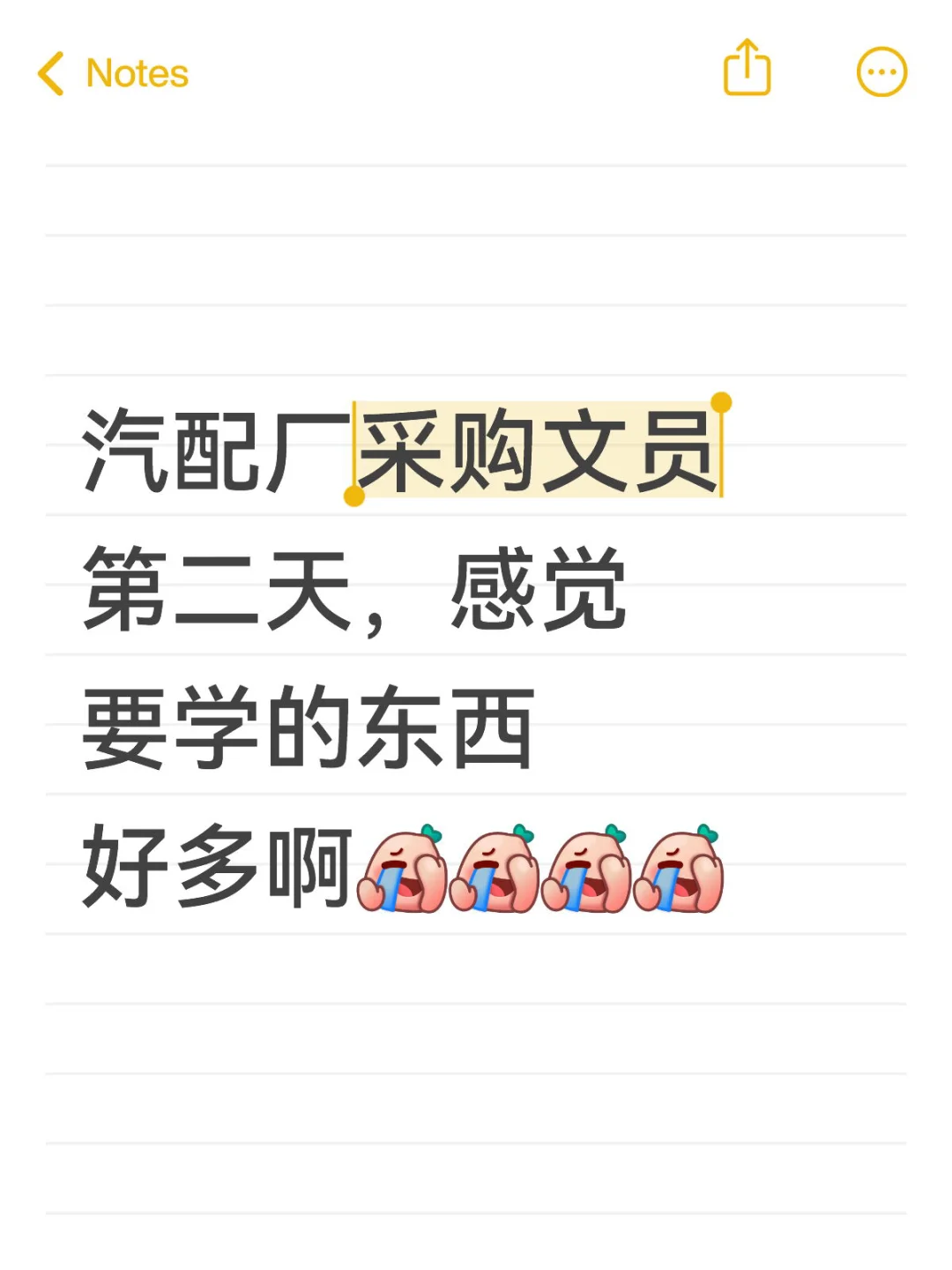 采购文员第二天