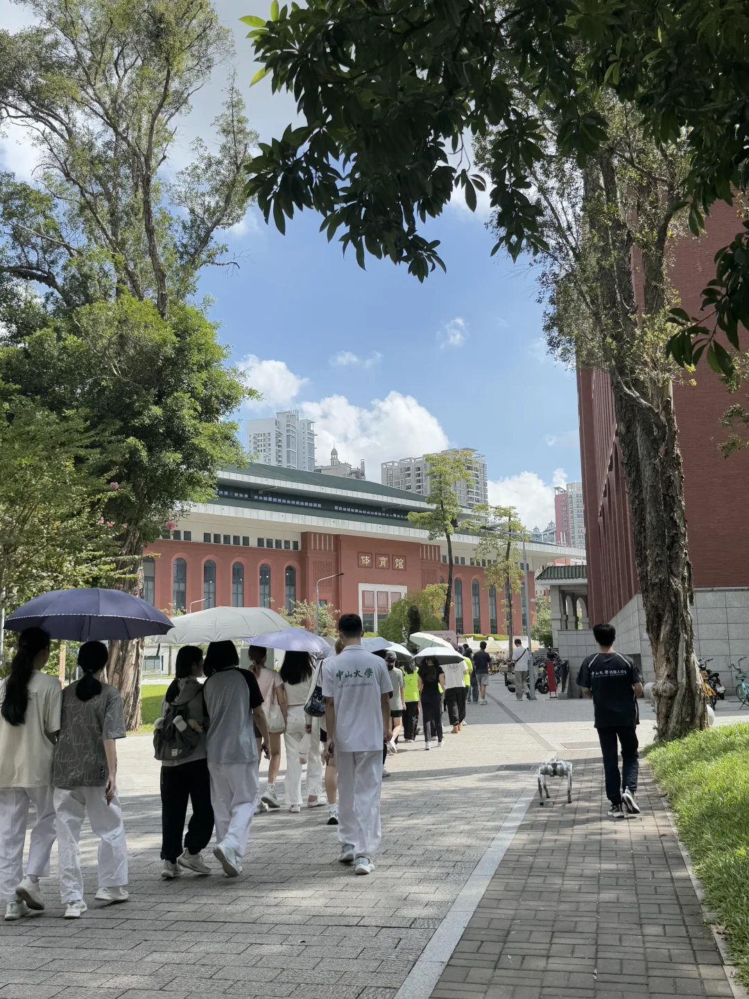 中山大学｜开学博览会是个什么新奇玩意