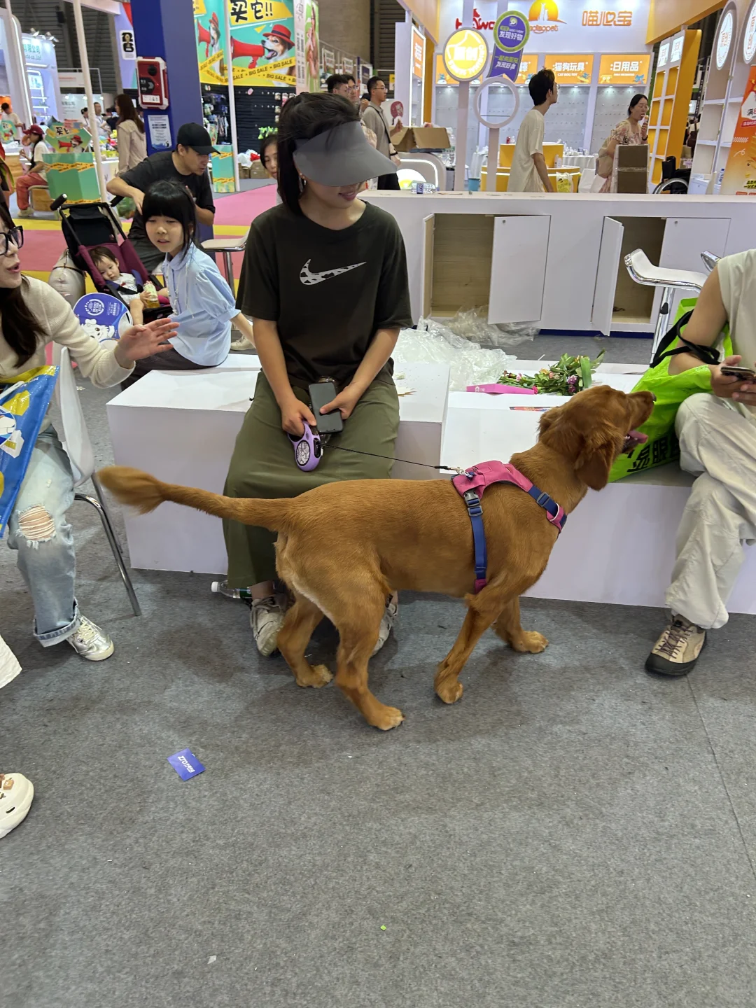 上海第27届亚洲宠物展