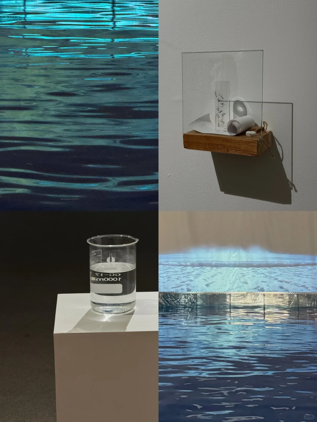 ?当海洋开始光合作用…是央美新展的浪漫