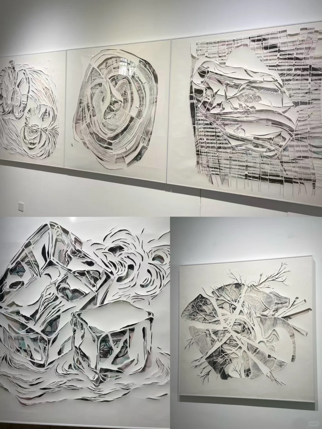 ?️厦门！上百家?画廊联手打造的艺术盛宴?