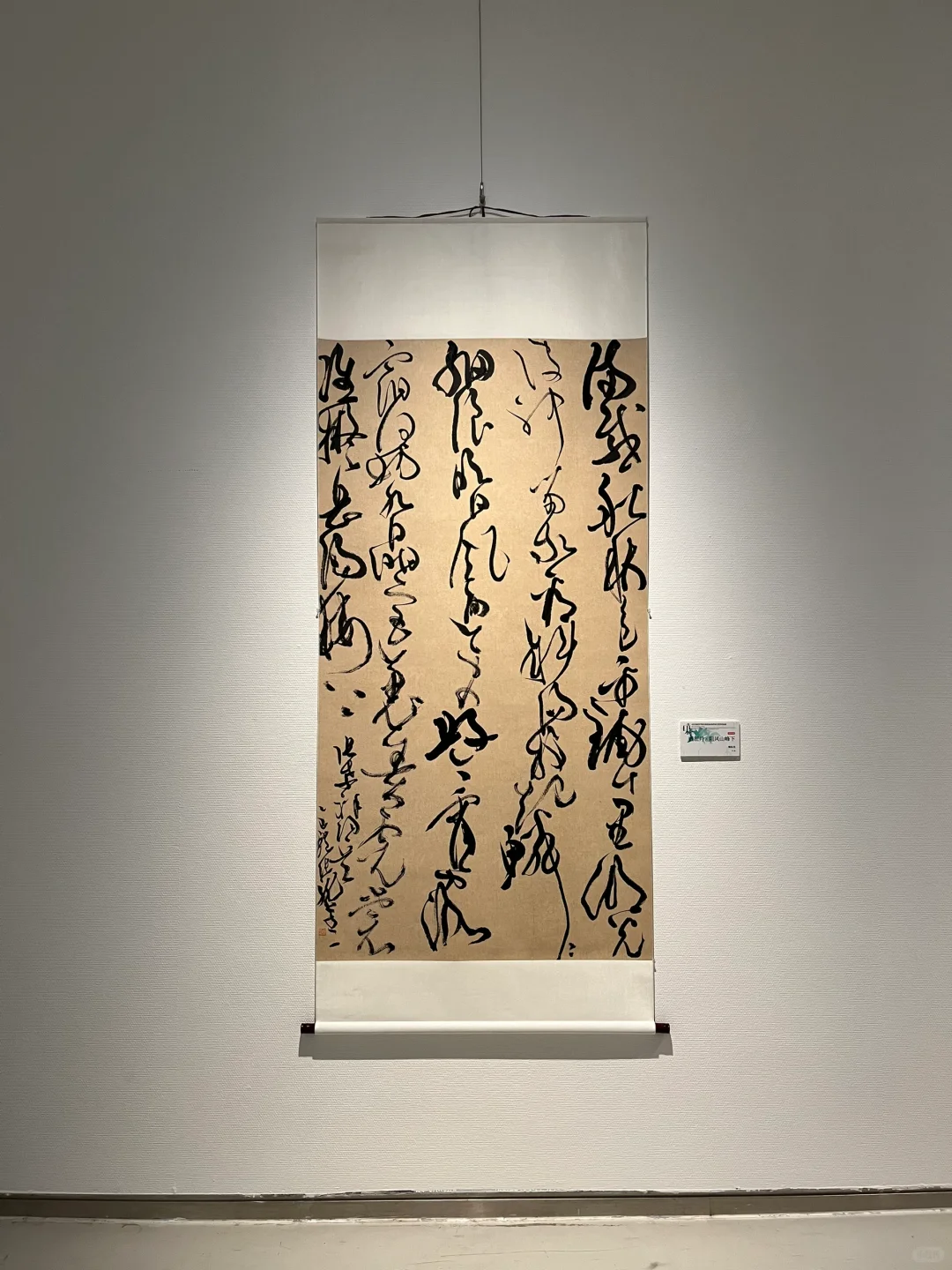?山东美术馆，我来啦