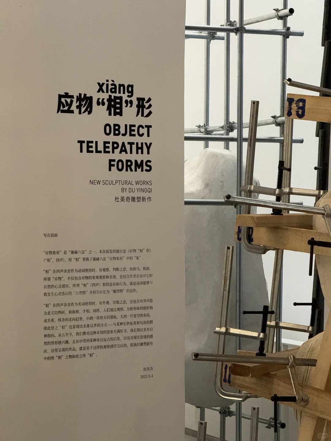 ?当海洋开始光合作用…是央美新展的浪漫