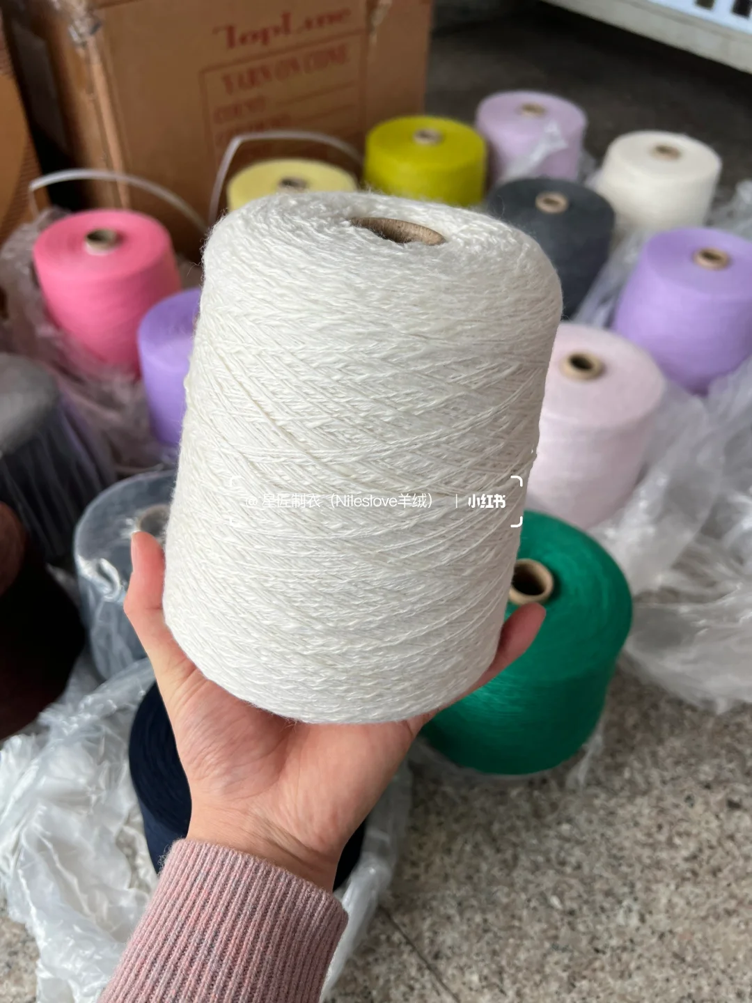 继续团～康赛妮不放假，我们不放假～