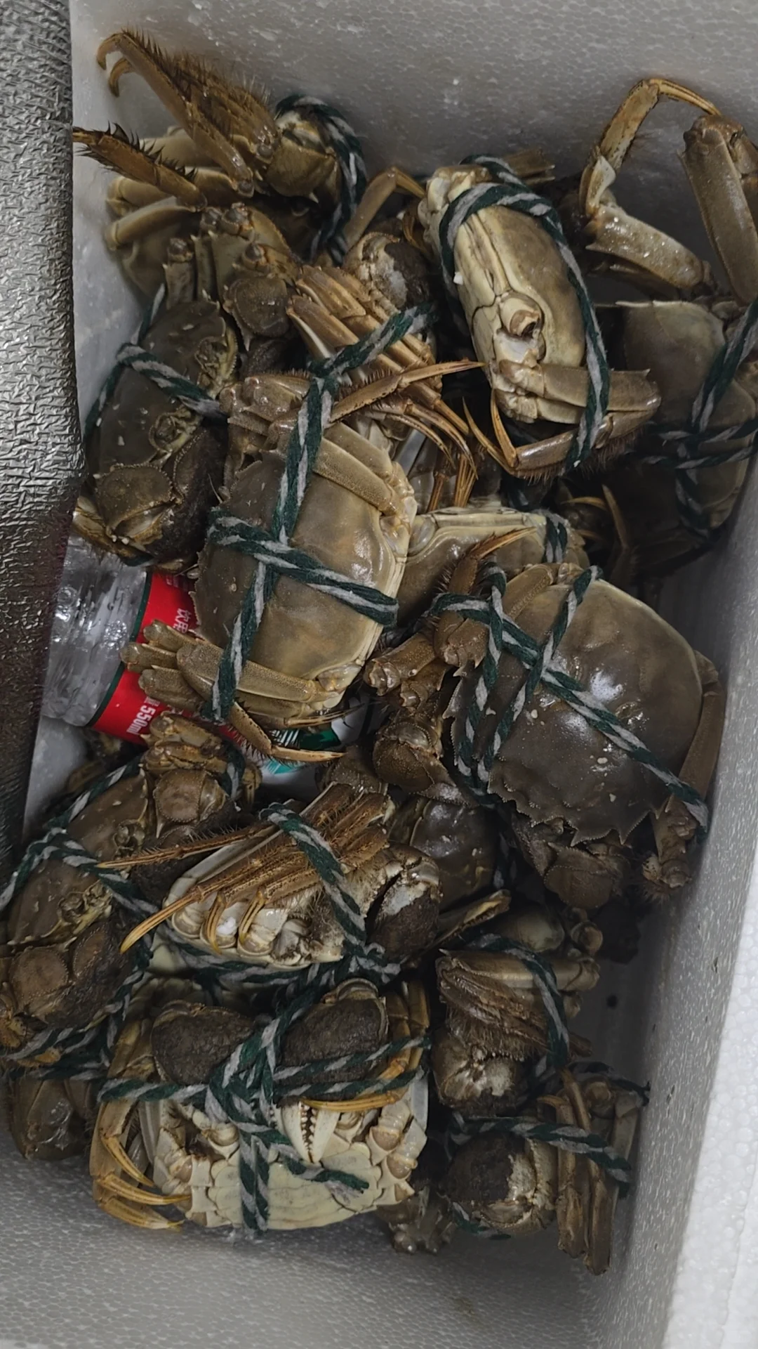 想在小区做团购不知道怎么起手！