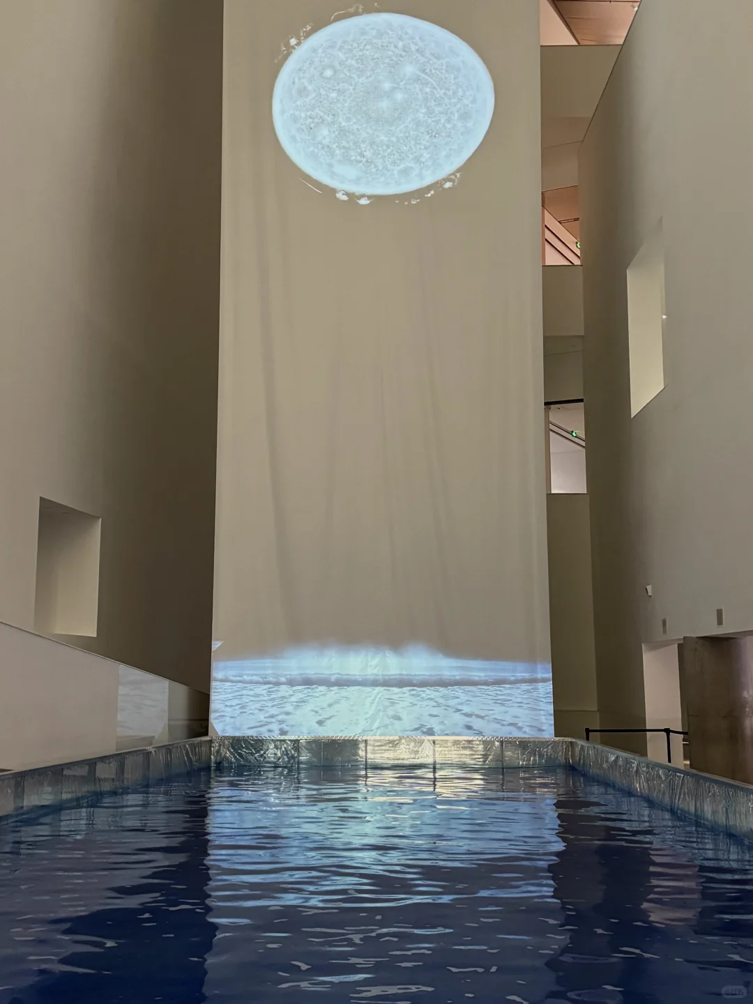 ?当海洋开始光合作用…是央美新展的浪漫