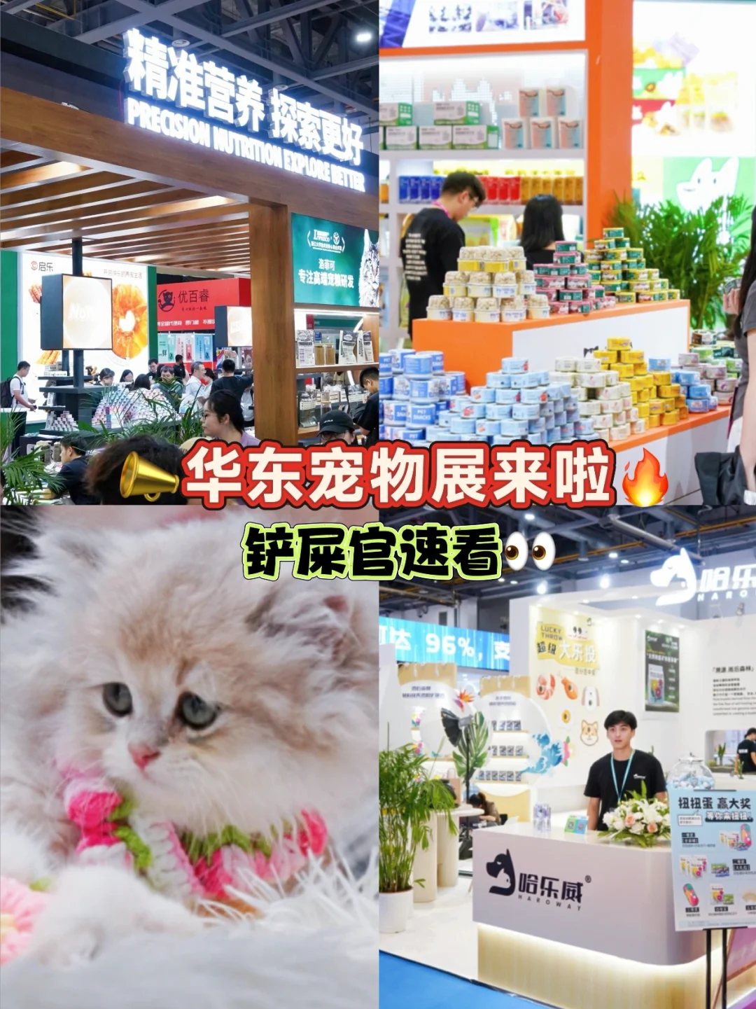 养宠人速看！一年一度华东宠物展来啦?