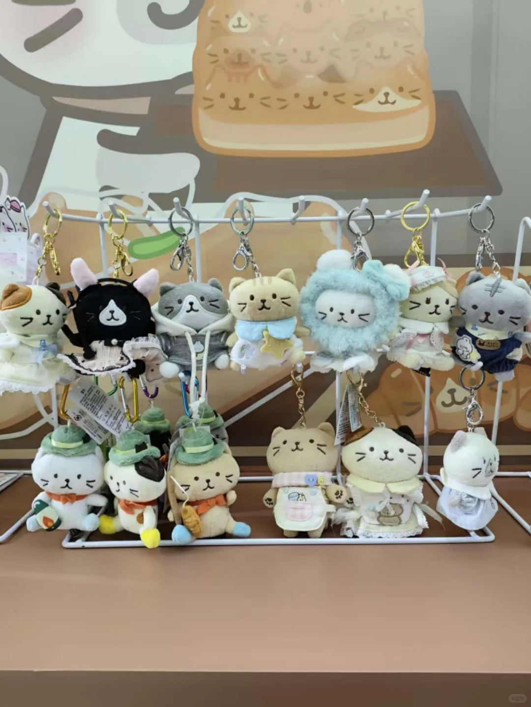 云逛展｜上海富酷猫现场