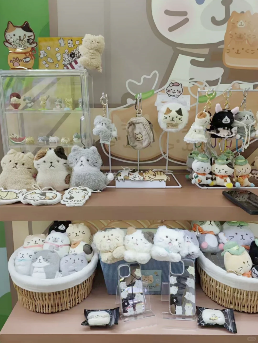 云逛展｜上海富酷猫现场