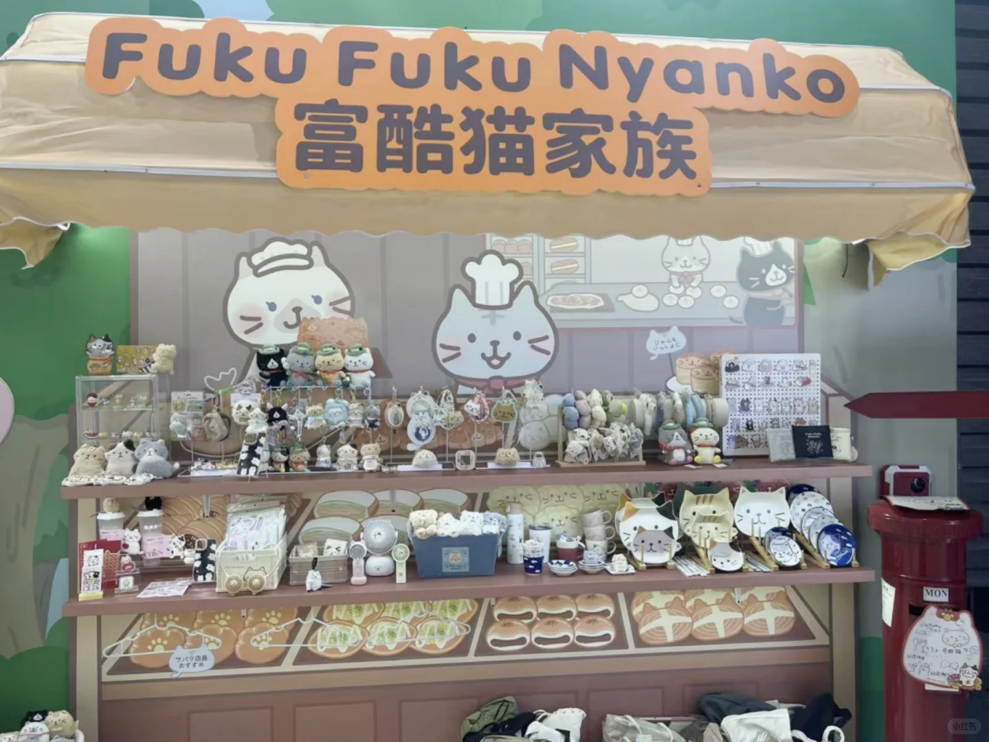 云逛展｜上海富酷猫现场