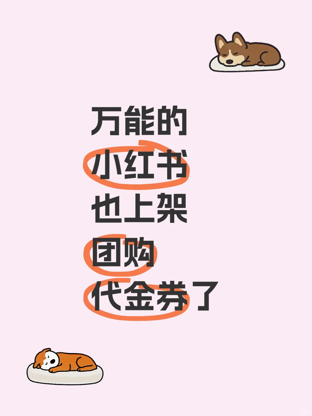 万能的小红书也上架团购代金券了哈哈哈