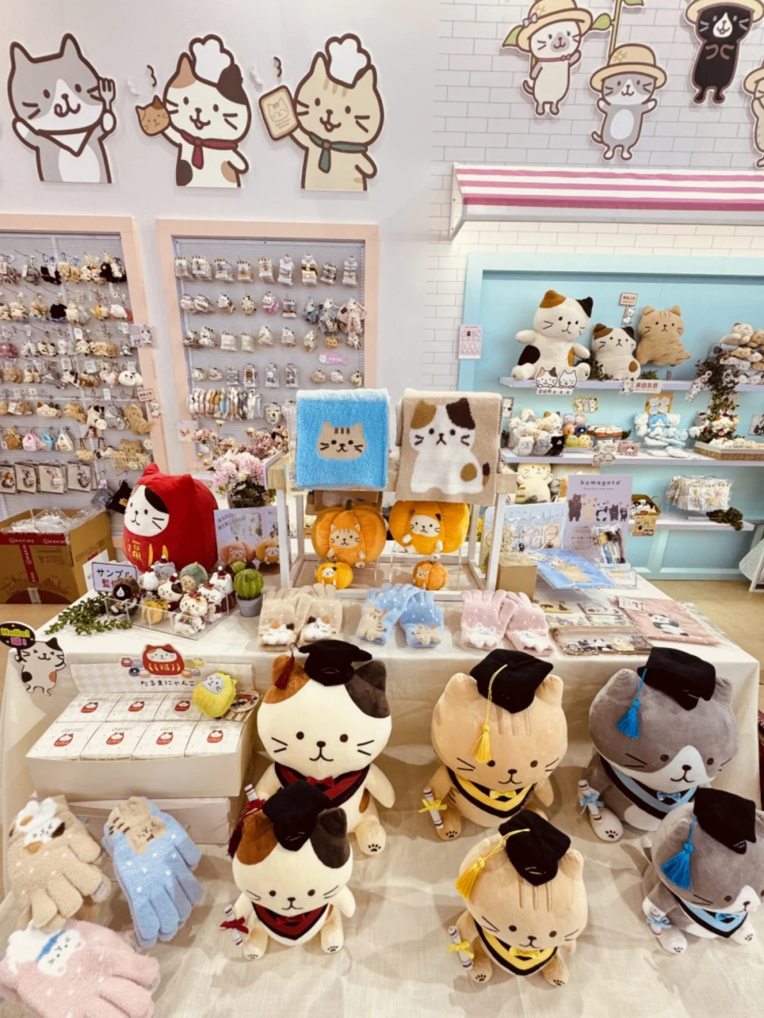 云逛展｜上海富酷猫现场