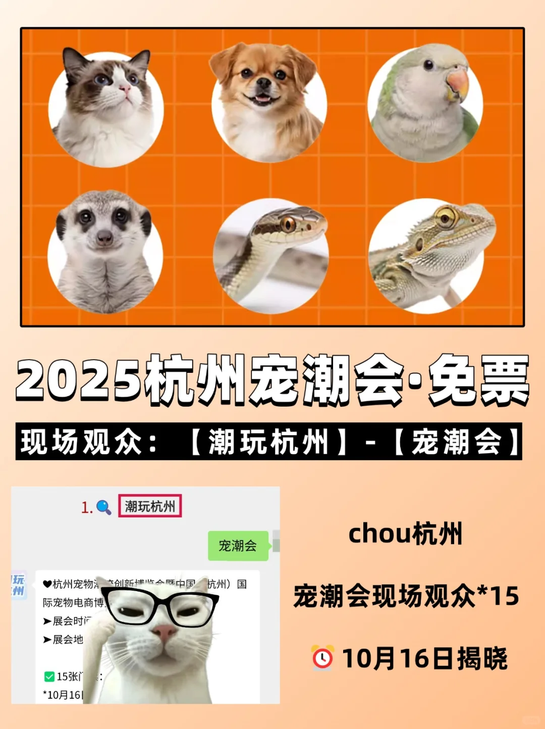 杭州宠潮会！15张?门票随机掉落！