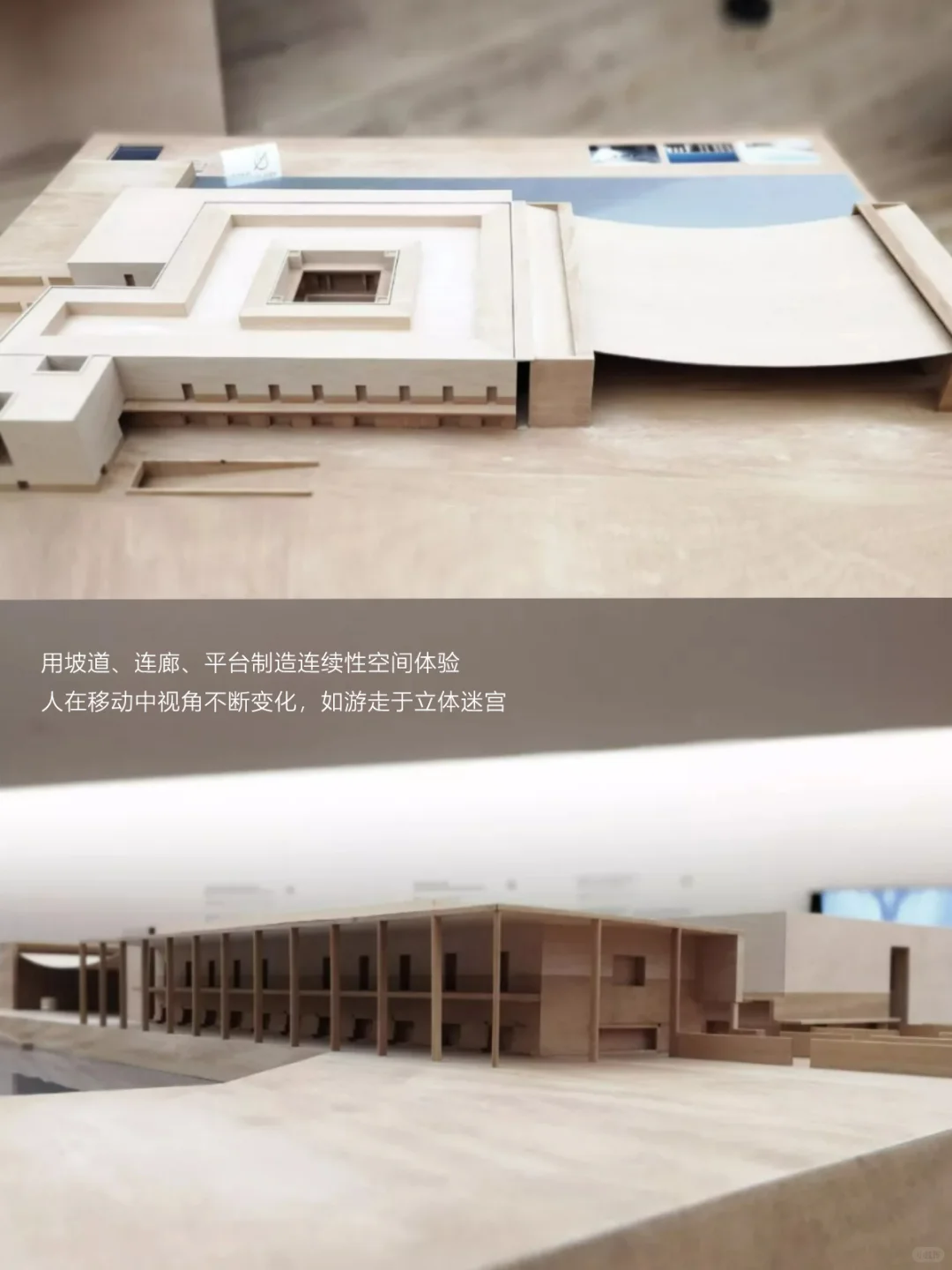 从西扎展学设计｜PSA上海看展不完全功课