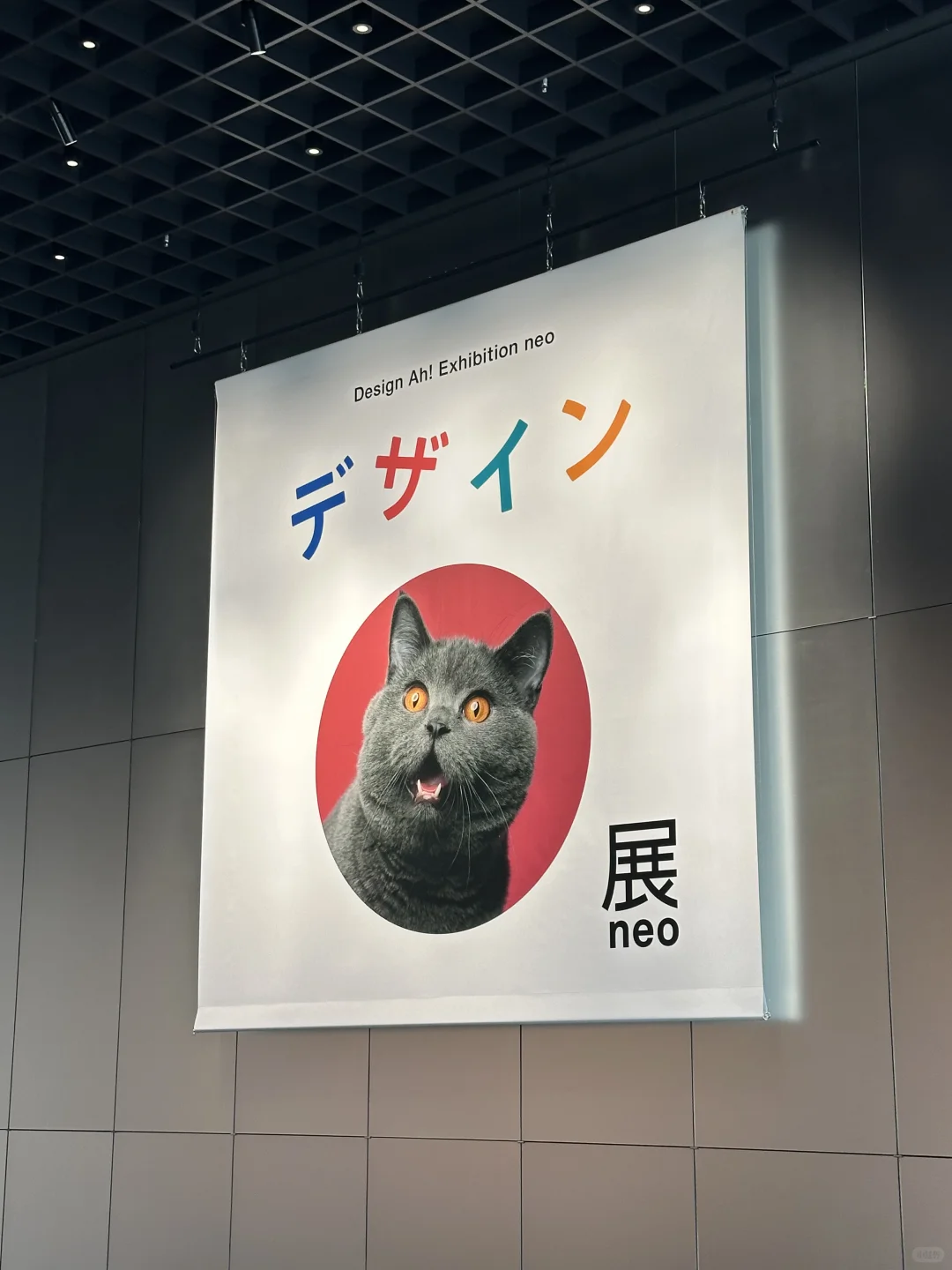 啊~~~设计展!怎么会那么可爱!