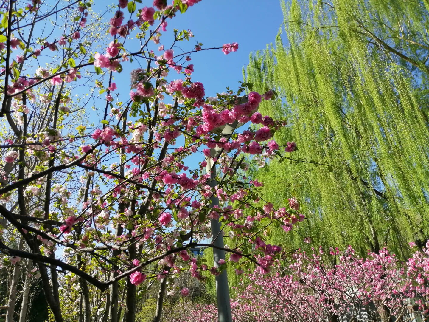北京孕婴童博览会