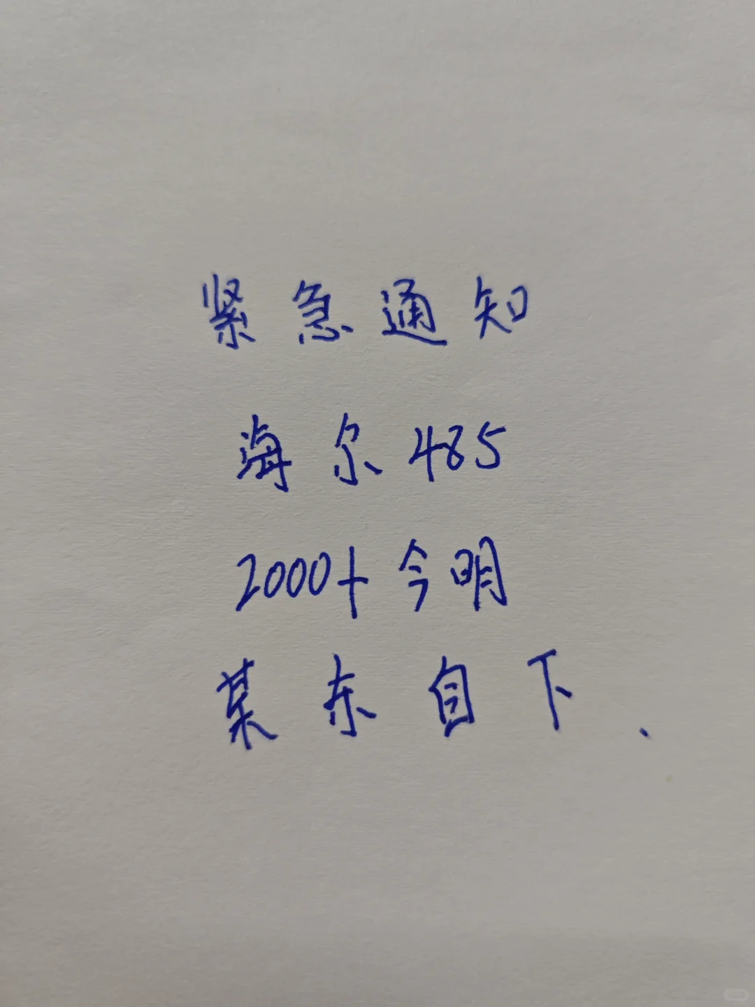 海尔山茶花485 有一起团的姐妹们吗？