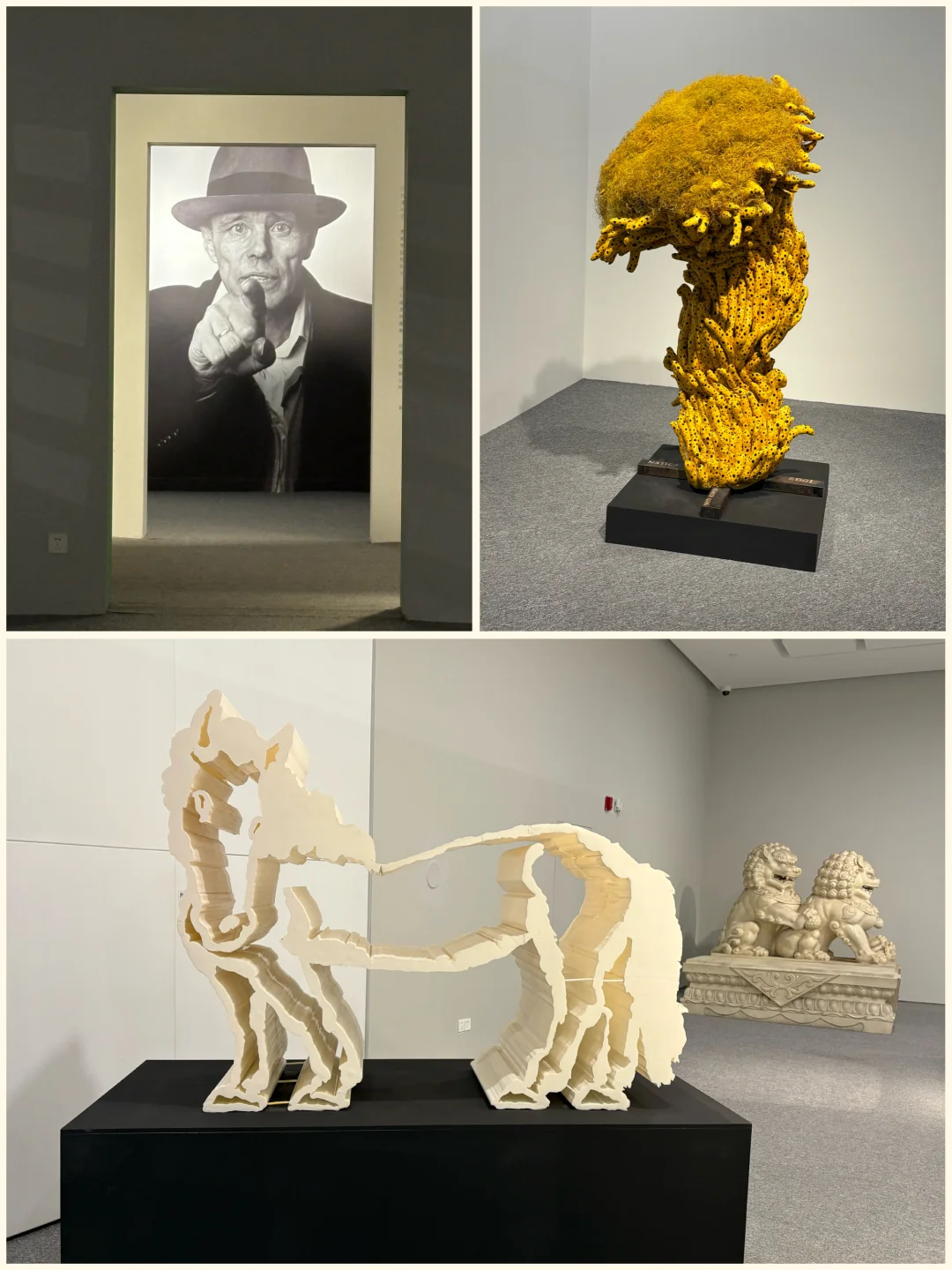 廊坊丝路艺术中心看展指南详细版?